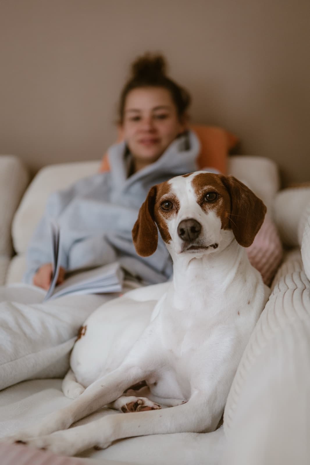 Hund kuschelt auf dem Sofa
