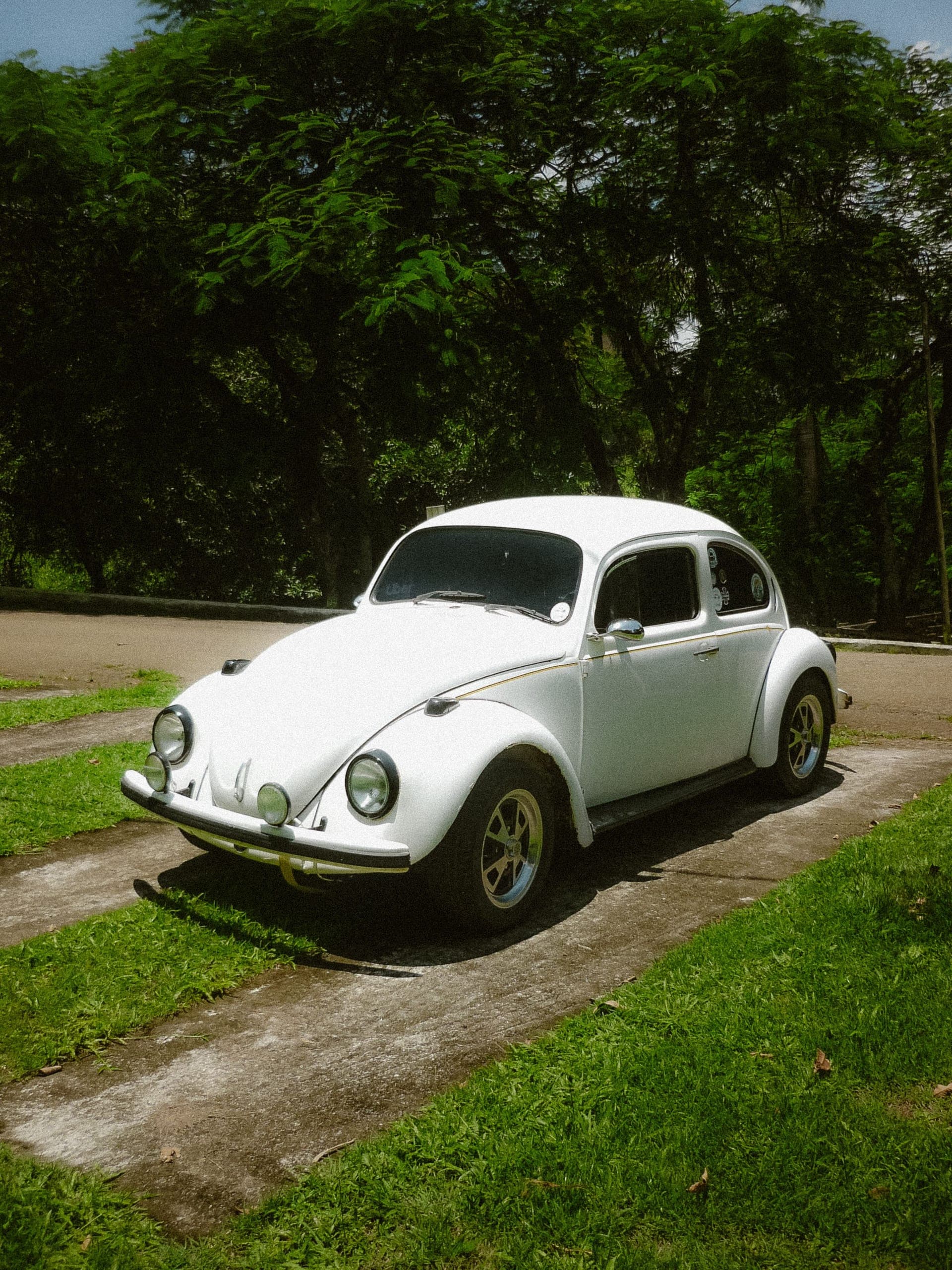 Klassischer VW Käfer